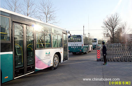 欧v温馨巴士巴士驶向青岛西海岸