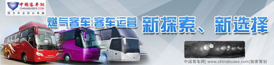ȼ���ͳ�:�ͳ���Ӫ��̽������ѡ��-��Ȼ���ͳ����ڹ�·����ǰ��̽�֡��й��ͳ���ר�ⱨ��
