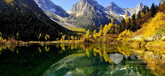 申龙观光车批量走进毕棚沟旅游景区 -客车产业