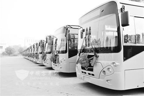 50辆扬子江客车2009年10月16日发往缅甸-客车