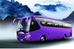 ��ͨ�ͳ�ZK6119HA