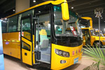 金旅平头校车 