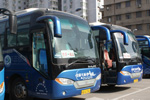 �廷����