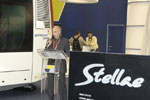 stellae�³�����