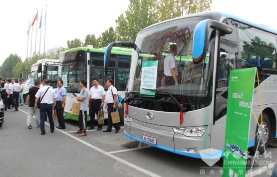 客户品鉴金龙新能源车