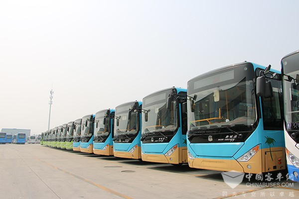 青岛：建成区明年年底前新增更新公交全部为新能源车
