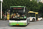 福建：厦门定制公交D4路拟12月起上路 