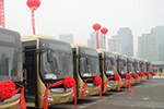 三部门：在农村地区加大推广应用新能源汽车