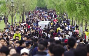 北京：清明小长假，京公交计划日均配车1.53万部