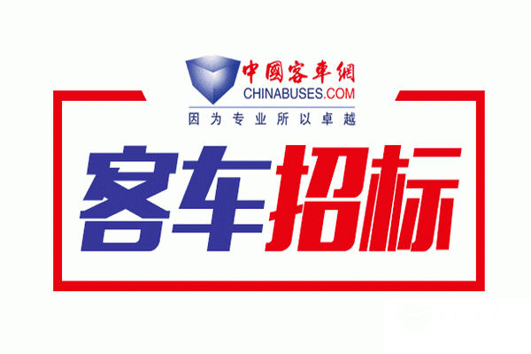 上海太阳岛汽车出租服务有限公司纯电动公交车采购项目招标公告