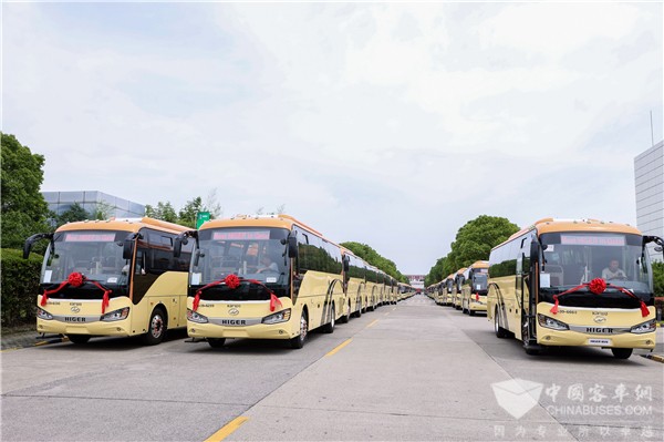 3709辆 24.65亿元！苏州金龙2021出口销量销售额双双大增