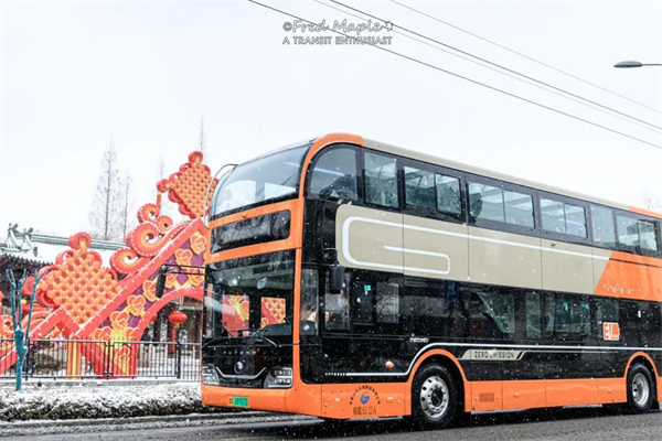 “泉橙巴士—大橙子”元宵节专线开通啦！