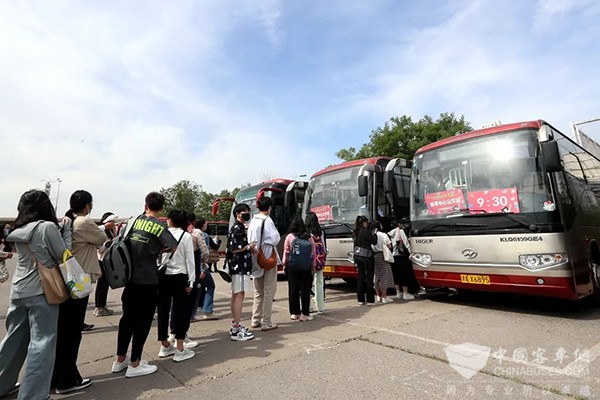 天津市 65岁以上 老年人 免费乘坐 公共汽车