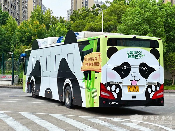成都公交 杭州公交 熊猫巴士 公交主题车