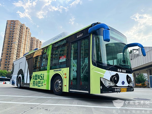 成都公交 杭州公交 熊猫巴士 公交主题车