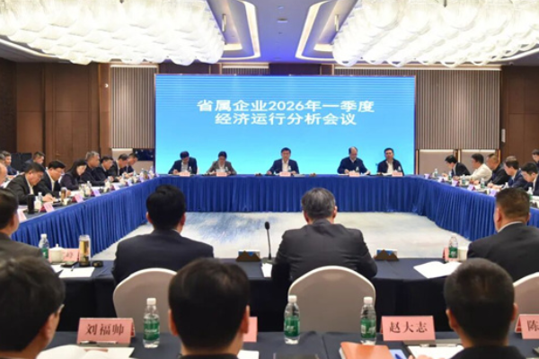 省国资委召开省属企业一季度经济运行分析会议 山东重工交流发言