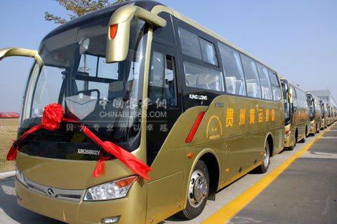 20辆新捷冠XMQ6802Y整齐排列