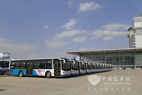 温馨巴士停放整齐的中通阳光系列节能公交车