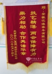 江淮·宝斯通，舞动时代新风