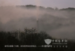 世界地球日 五洲龙践行绿色环保理念