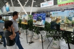 中通客车参加形象展 成聊城形象名片
