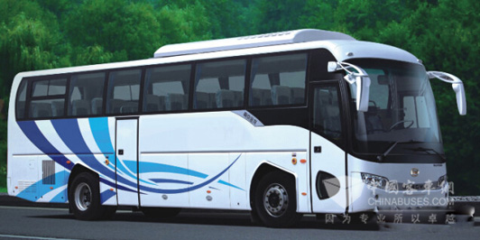NJL6118BEV车型
