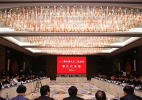 人大代表给交通拥堵支招  发展公共交通