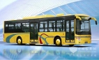 新疆首批电动公交车投入运营