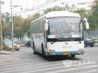 金龙巴士旅游车