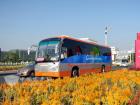 鲜花、笑脸、靓车相映成景