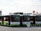 大金龙亚运专线公交车遍布广州