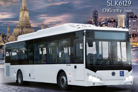 ����SLK6129
