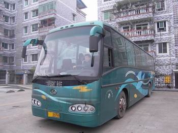 卖金龙