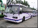 00年车，共10台，价格面谈