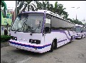 00年车，共10台，价格面谈