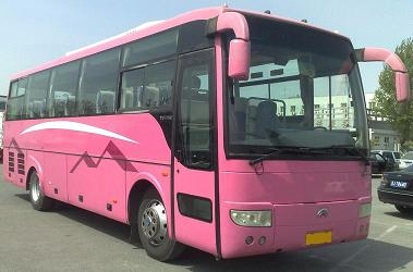 出售03年宇通42座豪华大客车