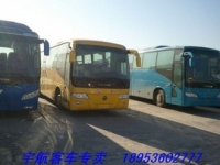 全新66座福田校车，未挂牌，玉柴245发动机，带中门