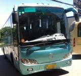 39座金旅6936 