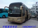 08年57座金龙6145