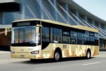 海格KLQ6129GQ1公交车（柴油国三10-47座）