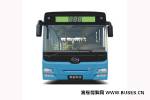 黄海DD6892B02公交车（柴油国四21-33座）