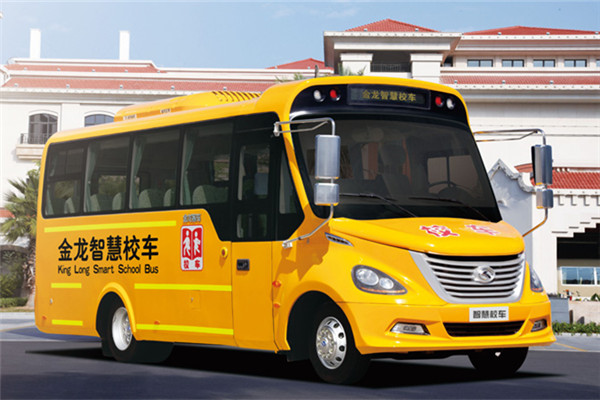 金龙xmq6660asd41幼儿专用校车柴油国四2431座
