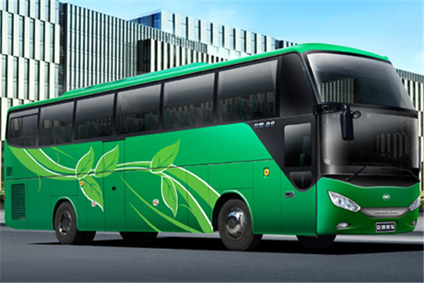 安凯HFF6110K09D1E4B客车（柴油国四24-53座）