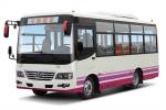 少林SLG6667C5GF公交车（柴油国五10-25座）