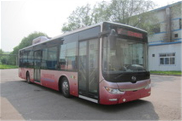 黄海DD6129CHEV8N公交车