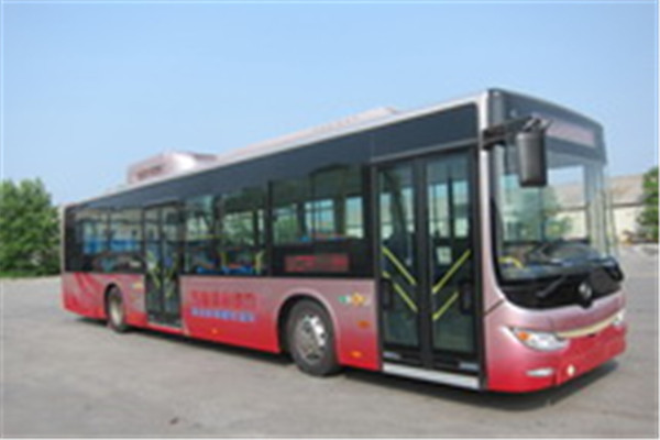黄海DD6129CHEV7N公交车