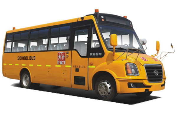 黄海DD6930C02FX小学生专用校车（柴油国四24-51座）