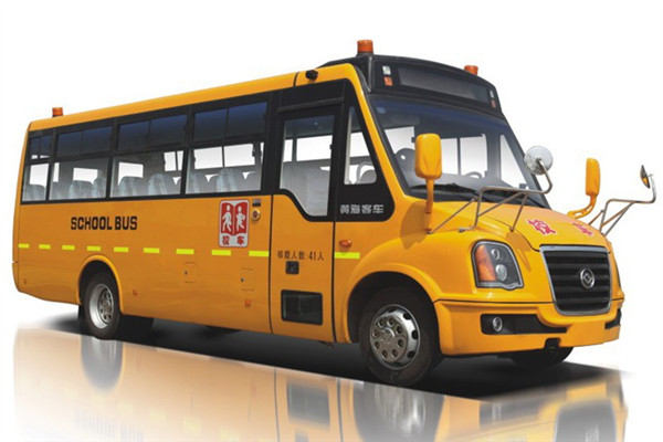 黄海DD6930C01FX中小学生专用校车（柴油国四24-46座）