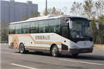 中通LCK6117HGN公交车（天然气国五10-52座）