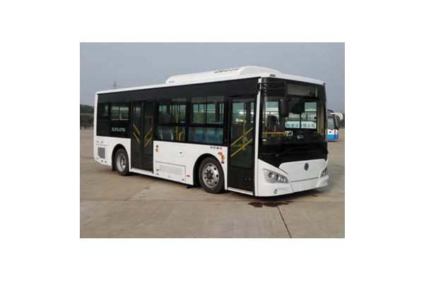 申龙SLK6819UBEVN11公交车（纯电动15-29座）